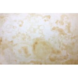 Зернова Е. С. Помидоры, арбуз и дыня