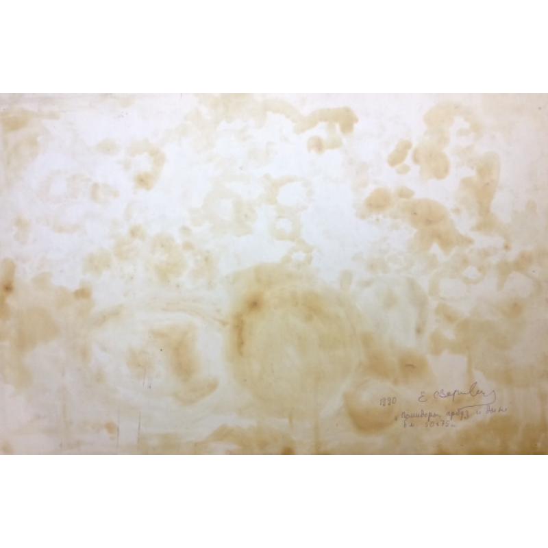 Зернова Е. С. Помидоры, арбуз и дыня