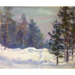 Гершаник Р. В. Зима