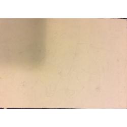 Степанян С.Л. Восточные девушки