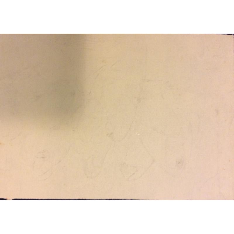 Степанян С.Л. Восточные девушки