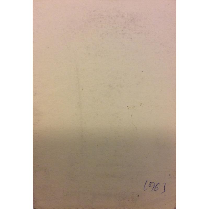 Ведерников А.С. Модель у дивана