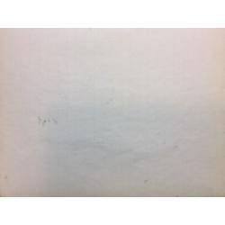 Васин В. А. Львов