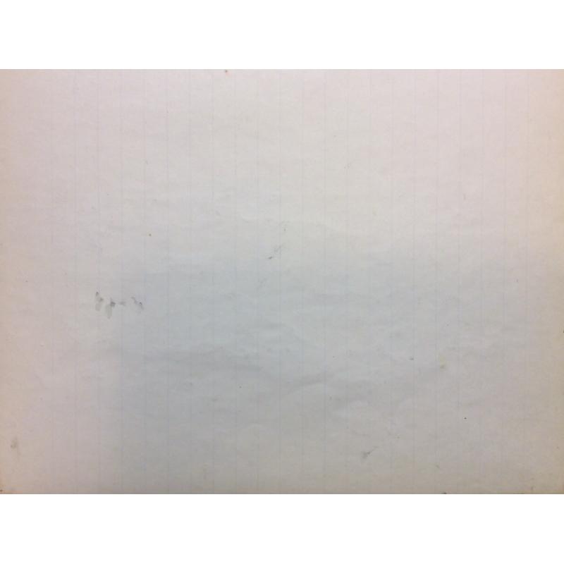 Васин В. А. Львов