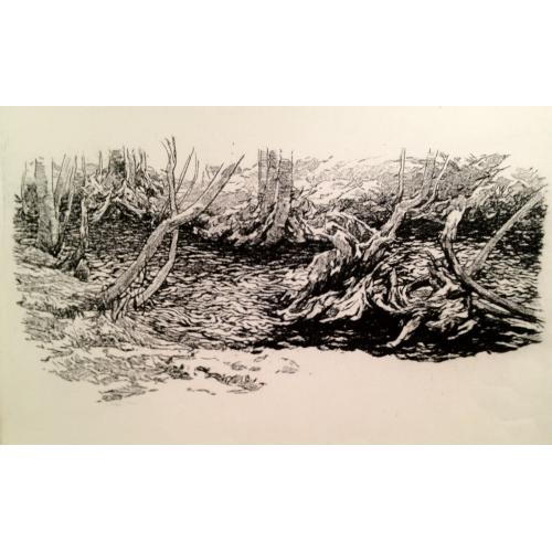 Ванеев П.И. Лесная речка