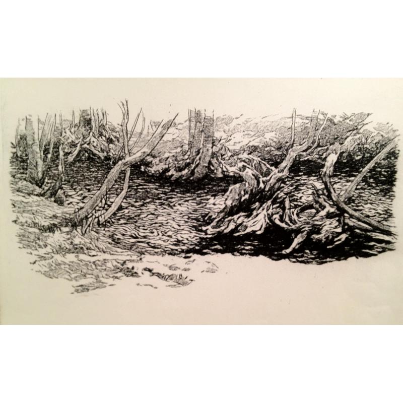 Ванеев П.И. Лесная речка