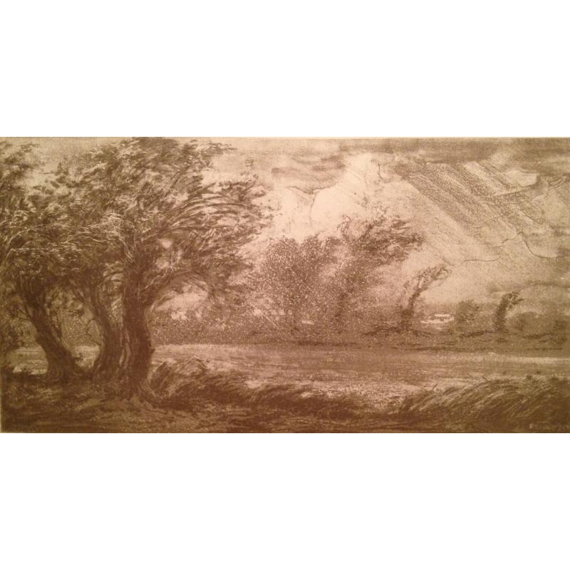 Барто Р.Н. Гроза