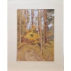 Маторин М.В. Архангельское