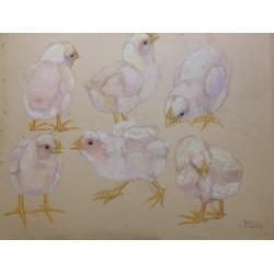 Климентов М.И. Цыплята