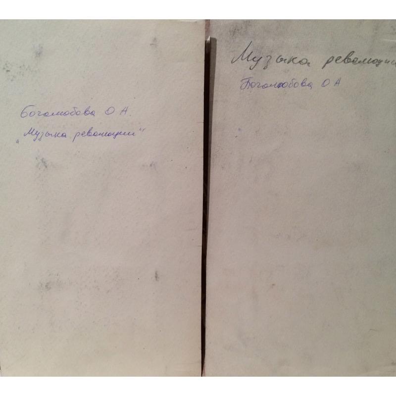 Боголюбова О.А. Виды Петербурга
