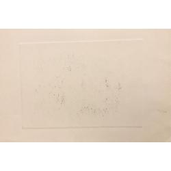 Слепышев А.С. Прогулка