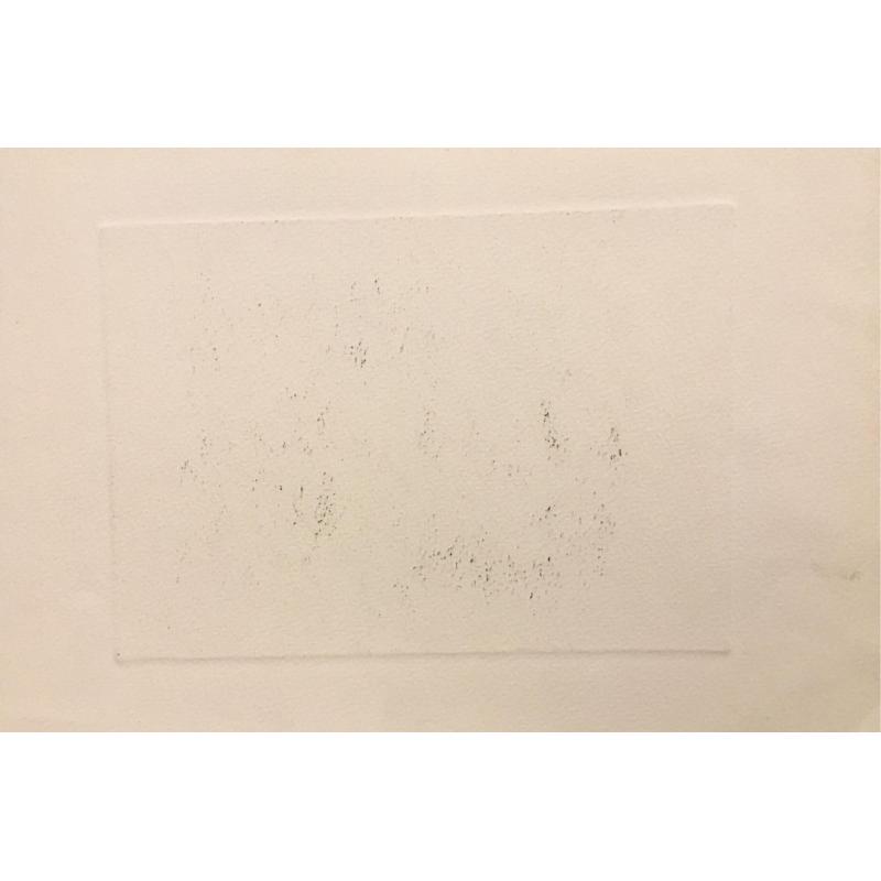 Слепышев А.С. Прогулка