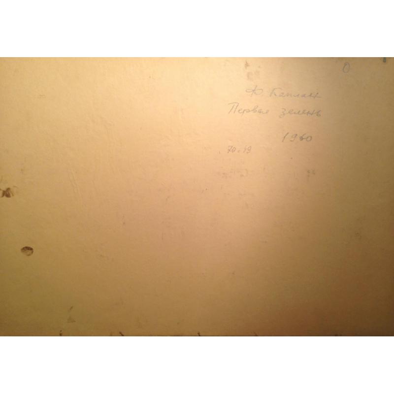 Каплан Ф.М. Первая зелень