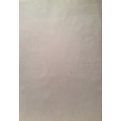 Яковлев В.И. Ваза и яблоки