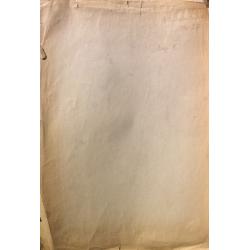 Почиталов В.В. Обнаженная с поднятой рукой