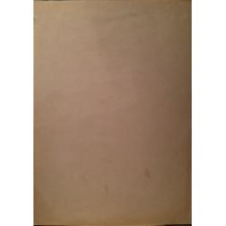 Витинг Н.И. Автопортрет с открытым ртом