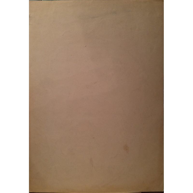 Витинг Н.И. Автопортрет с открытым ртом