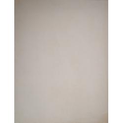 Витинг Н.И. На работе