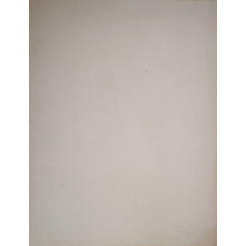 Витинг Н.И. На работе