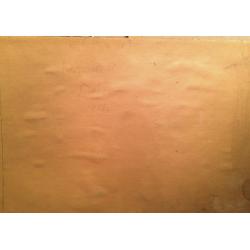 Колганова А.С. Рыбы