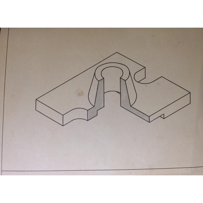 Климентов М.И. Цыплята