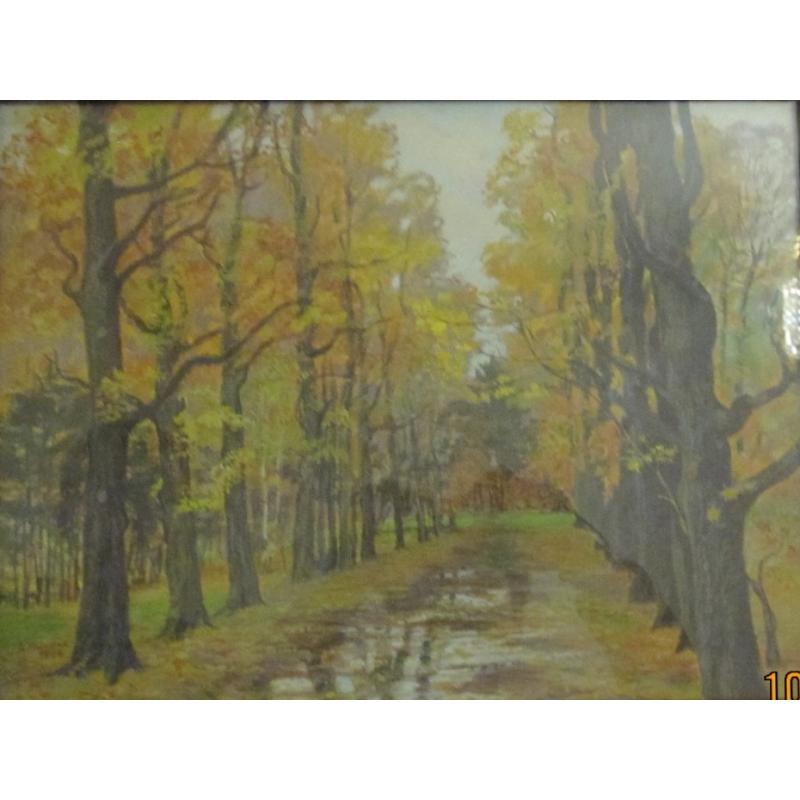 Рябовол В. А. Осенние аллеи