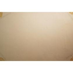 Пискарева А.Н. Московские крыши