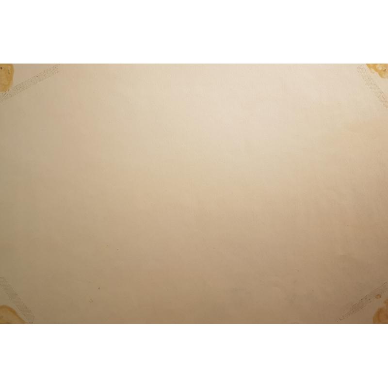 Пискарева А.Н. Московские крыши