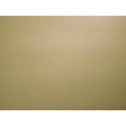 Каплан Ф.М. Обнаженная натурщица