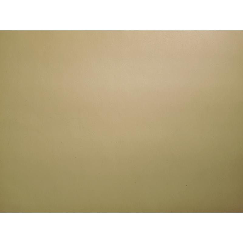 Каплан Ф.М. Обнаженная натурщица