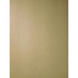 Каплан Ф.М. Натурщица