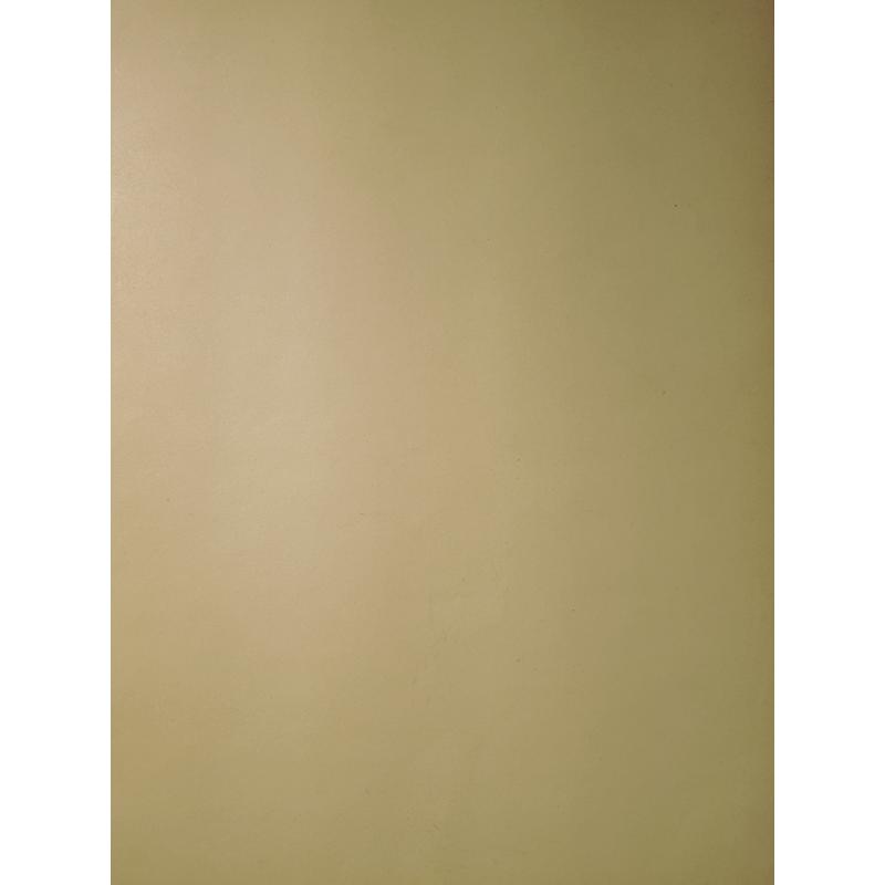 Каплан Ф.М. Натурщица