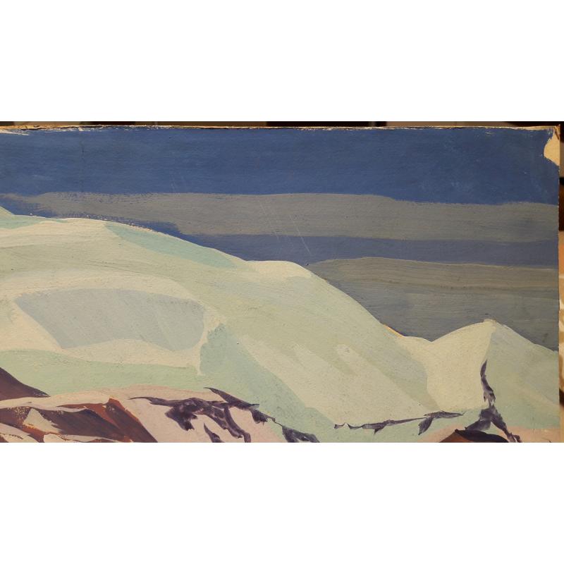 Алисов Н.В. Горный пейзаж