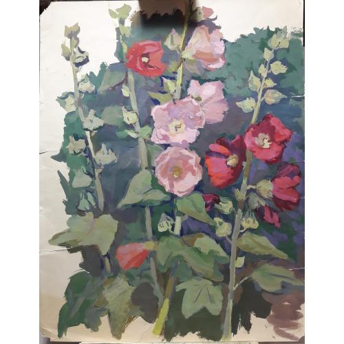 Трошин Н.С. Мальвы