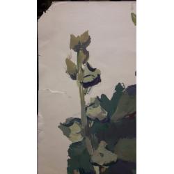 Трошин Н.С. Мальвы