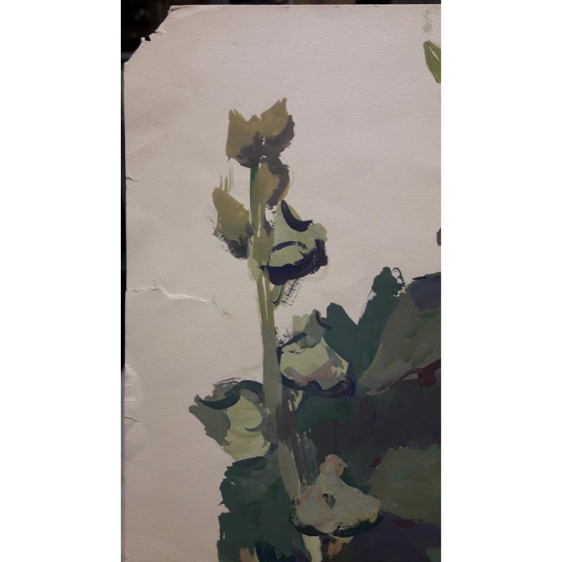 Трошин Н.С. Мальвы