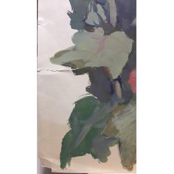 Трошин Н.С. Мальвы