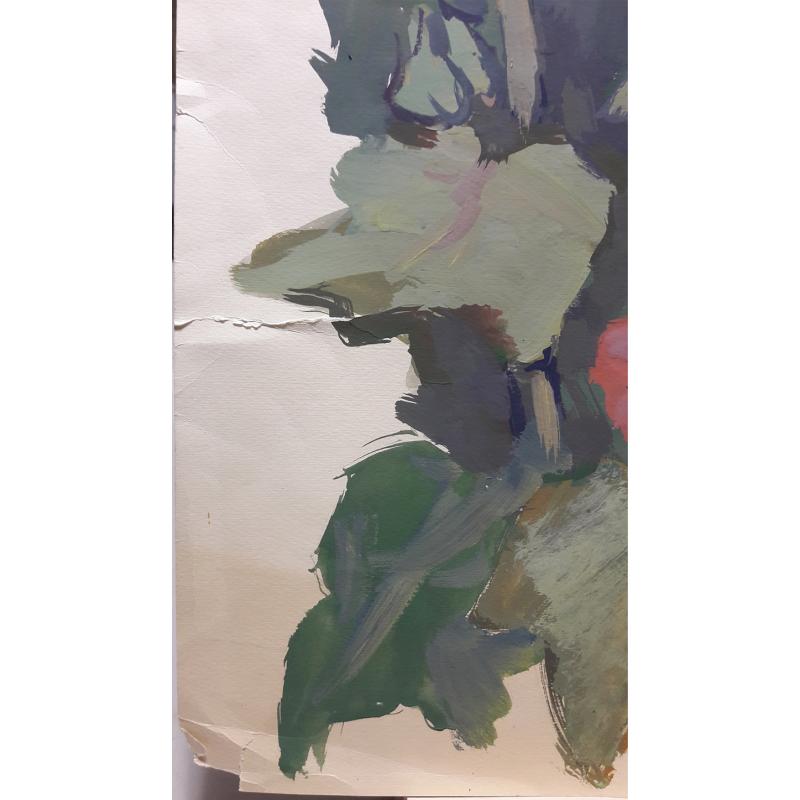 Трошин Н.С. Мальвы