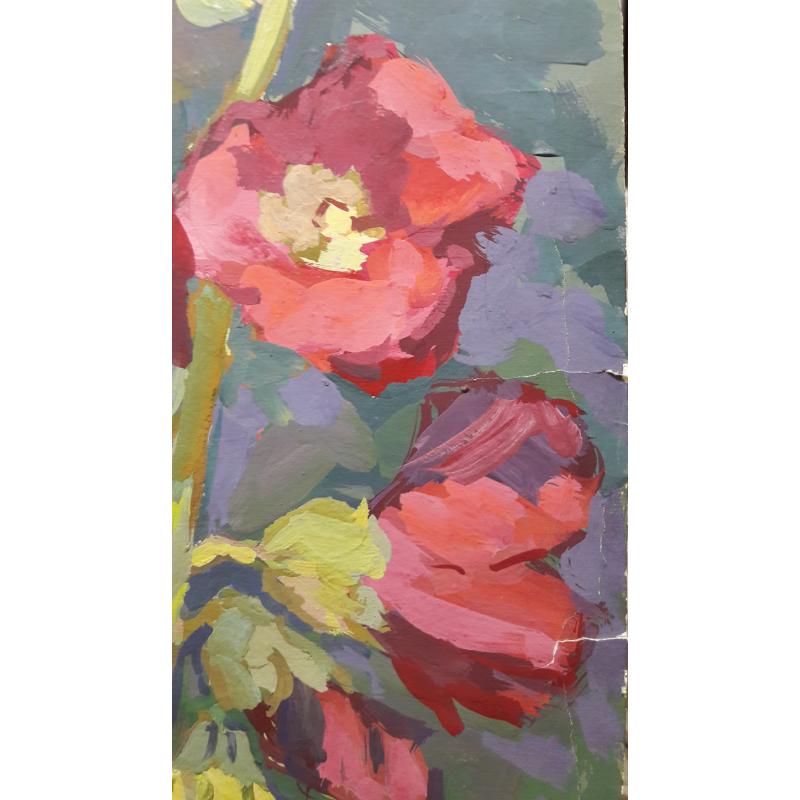 Трошин Н.С. Мальвы