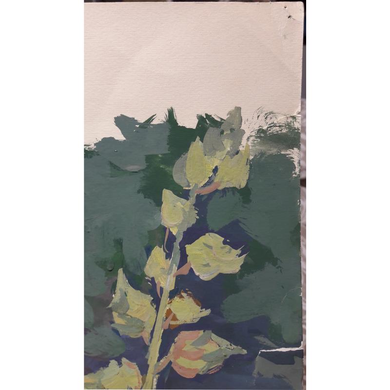 Трошин Н.С. Мальвы