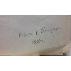 Трошин Н.С. Мальвы