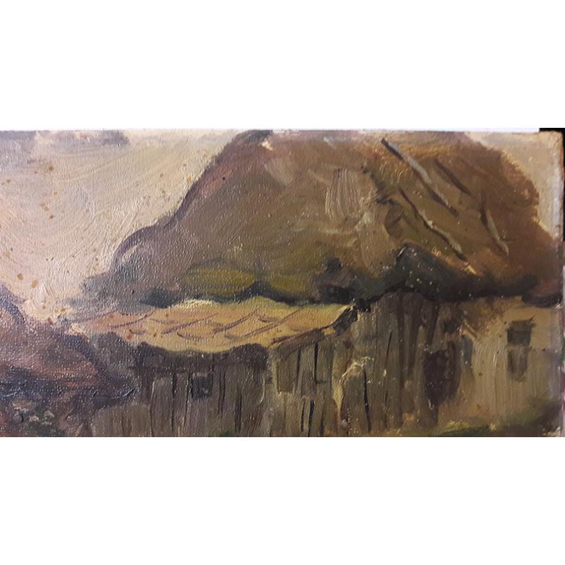 Токарев Деревенские дома