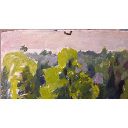 Юрьева Н.Б. Козы и коровы пасутся