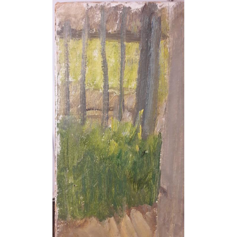 Соломин Н.К. В деревне