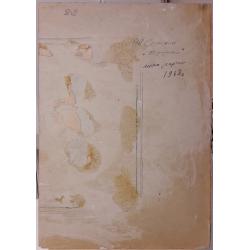 Соломин Н.К. В деревне