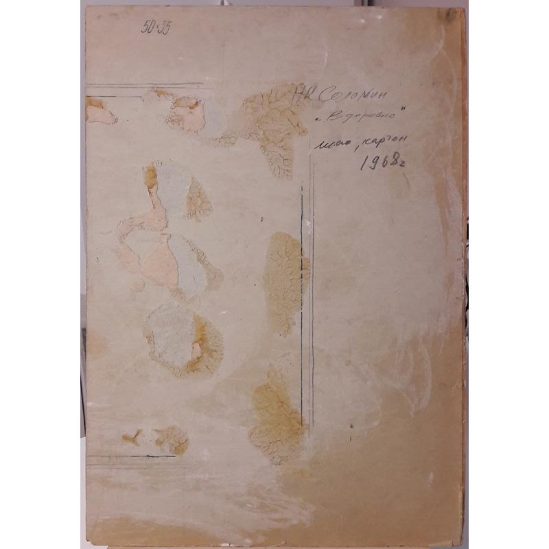 Соломин Н.К. В деревне