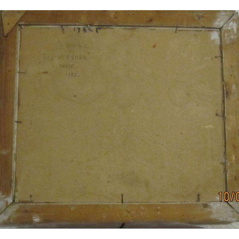 Юрчик В. М. Подснежники