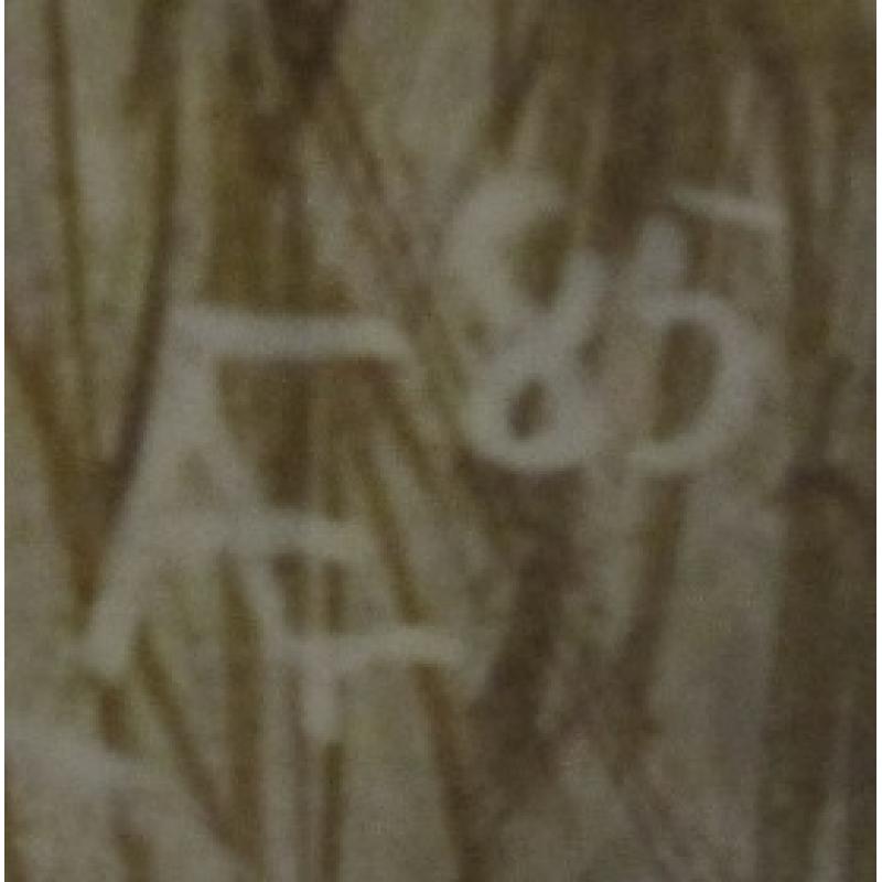 Елагин А. Б. Снег