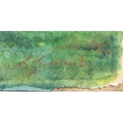 Хряков А. Ф. Березы