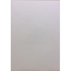 Расторгуев Е. А. Волнение